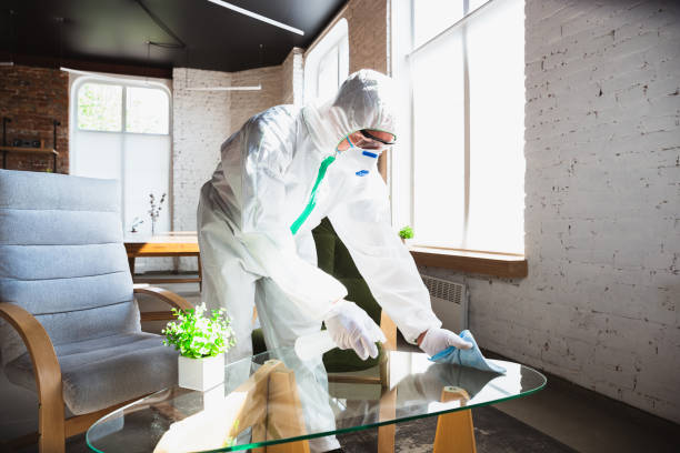  Windsor Heights, IA Mold Removal Pros